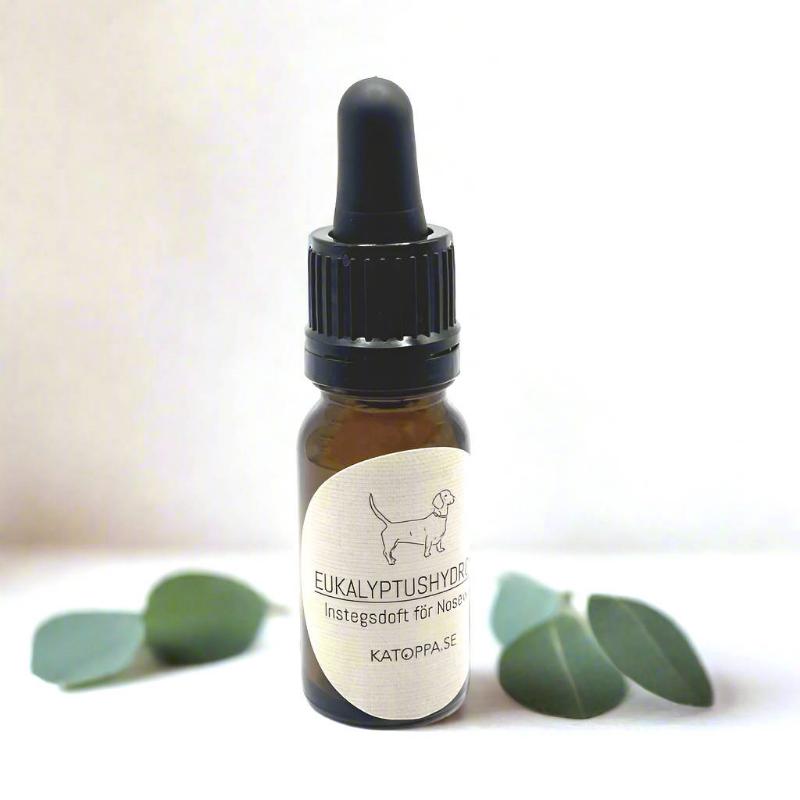 Eukalyptushydrolat för Nosework, 10ml pipettflaska